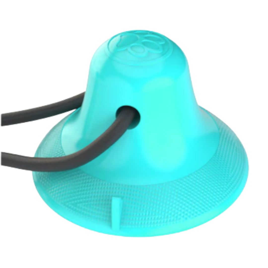 Suction Chew Dog Toy