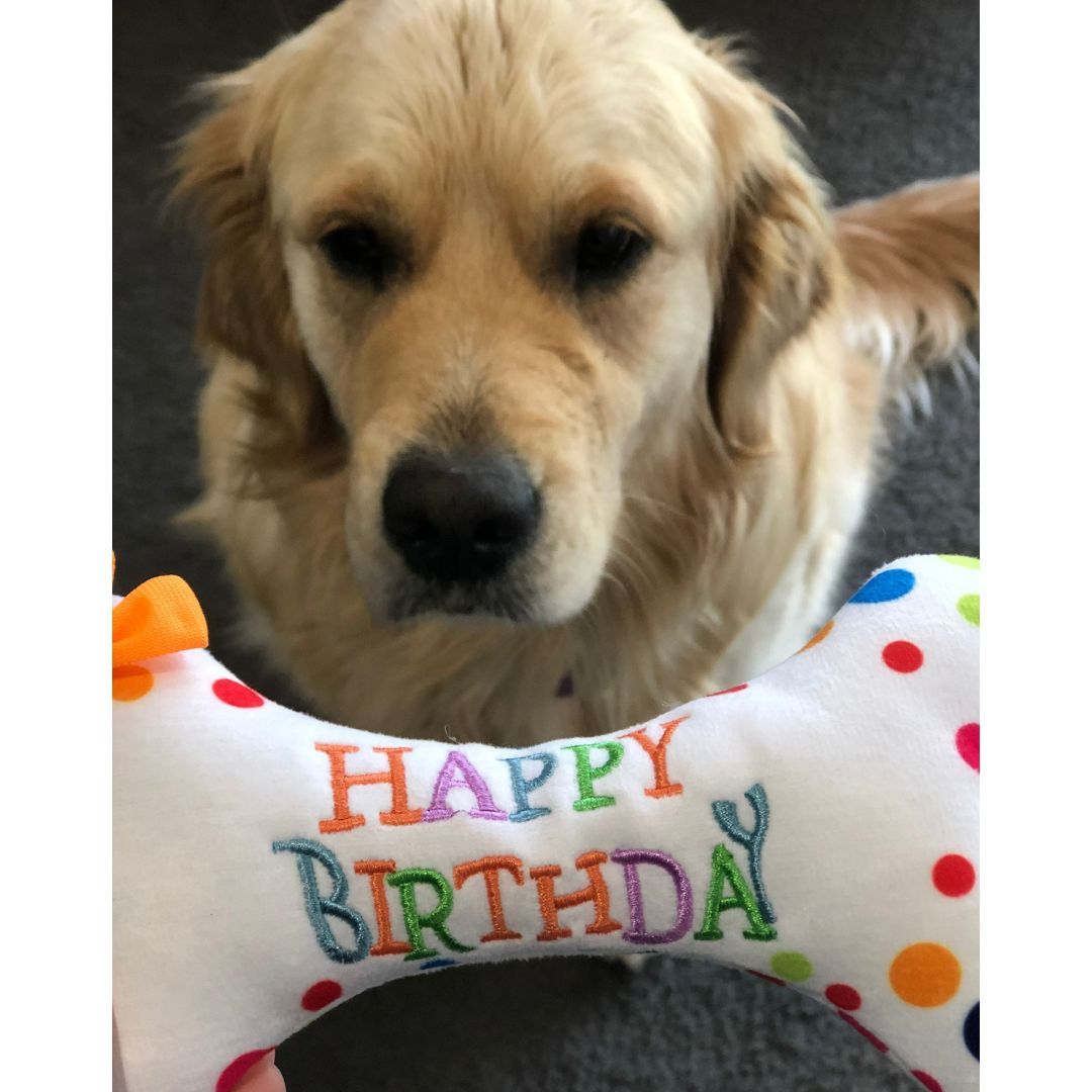 Dog Birthday Bone