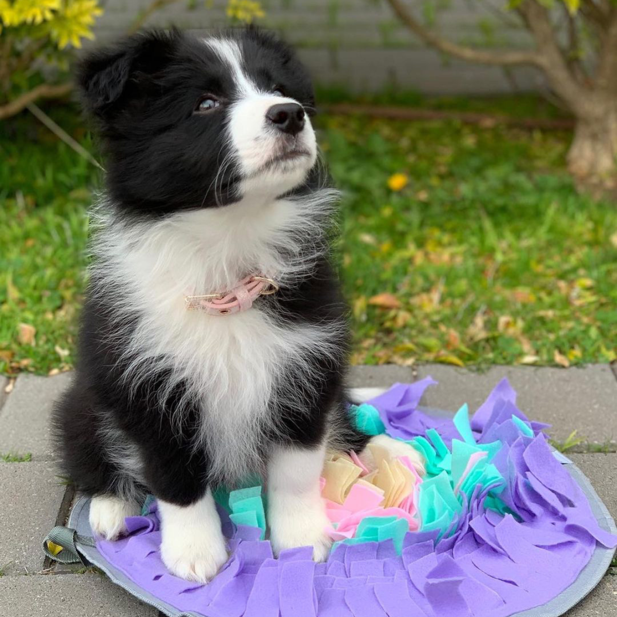 dog snuffle mat