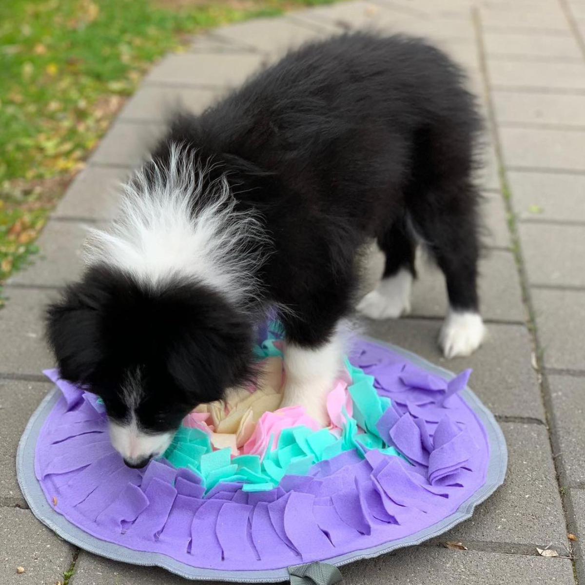 dog snuffle mat