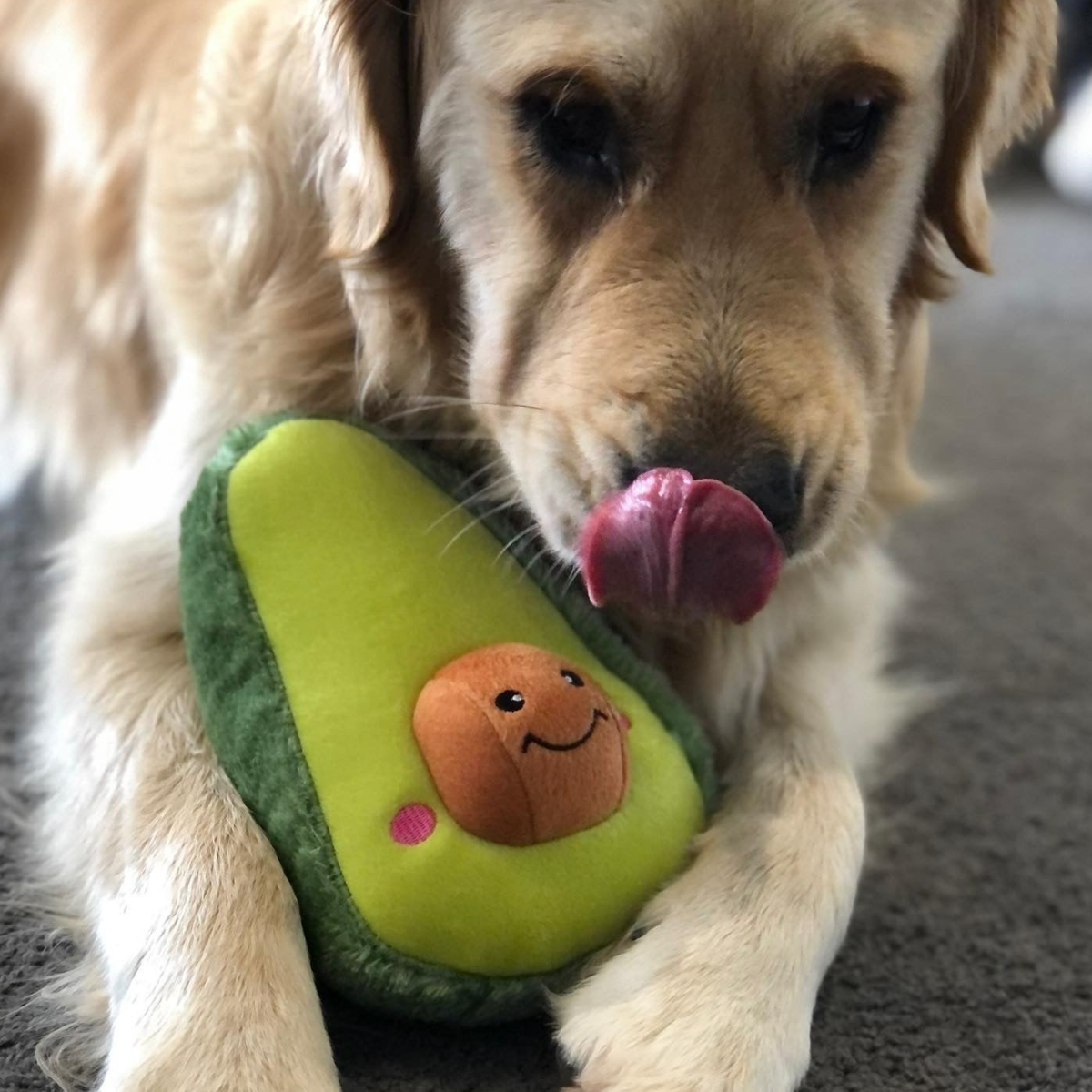 Dog toy