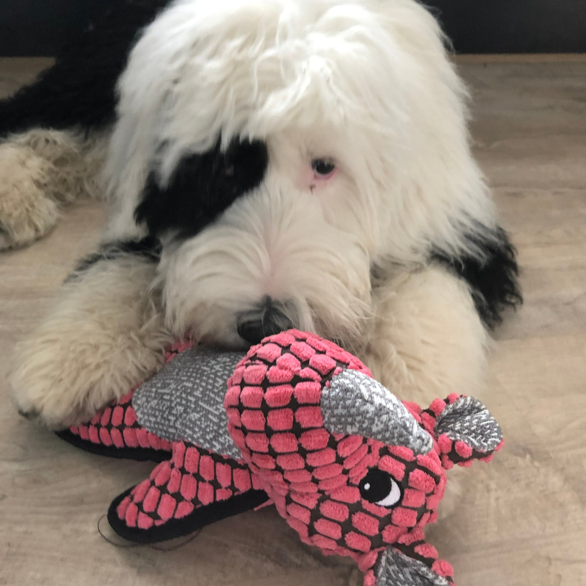Soft Dog Toy