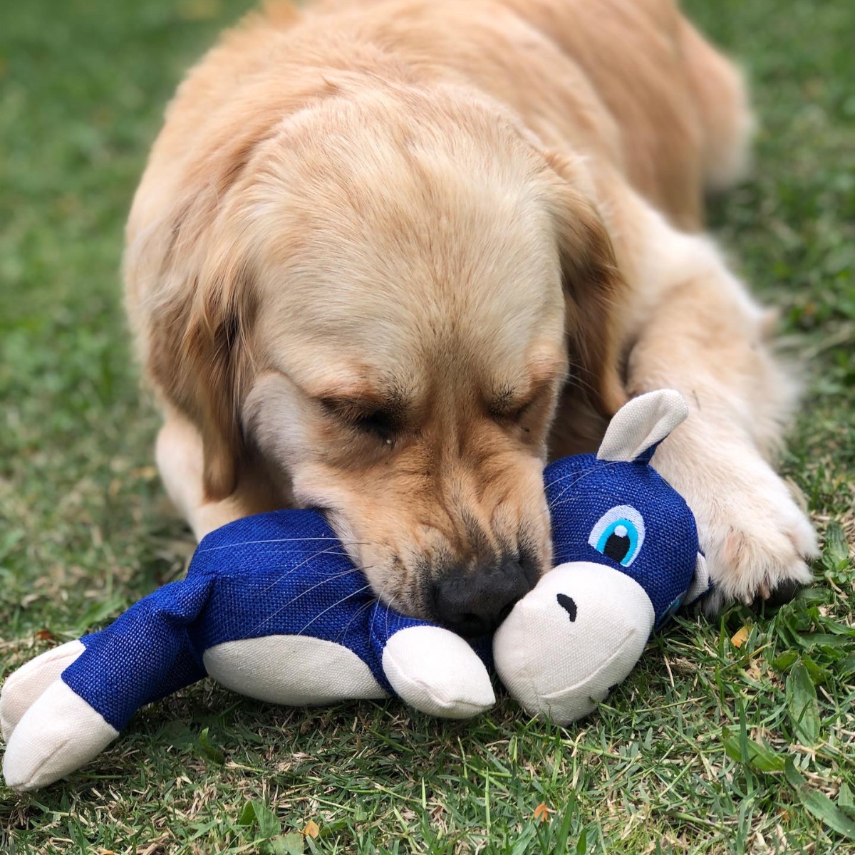 Dog Plush Toy