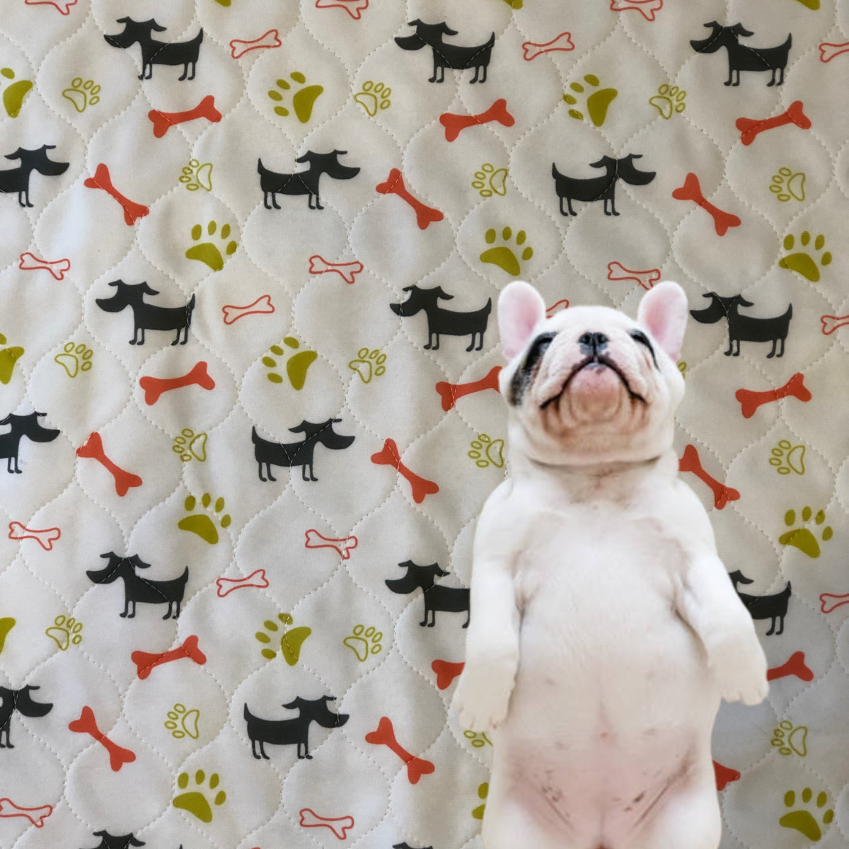 Reusable Puppy Pee Mat