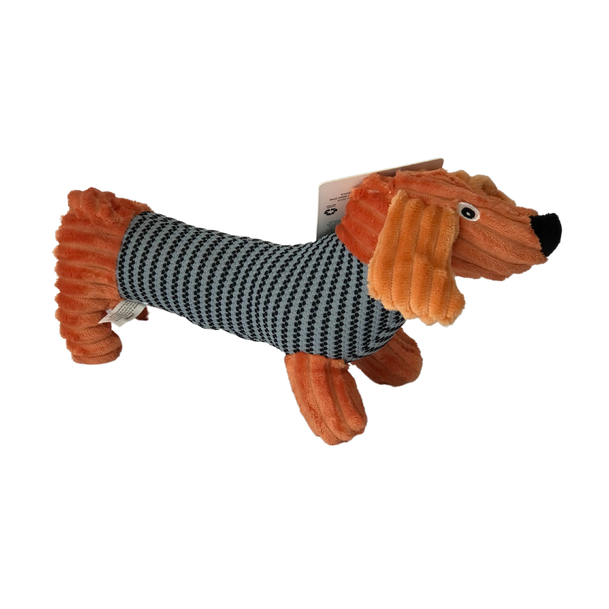 Dachshund