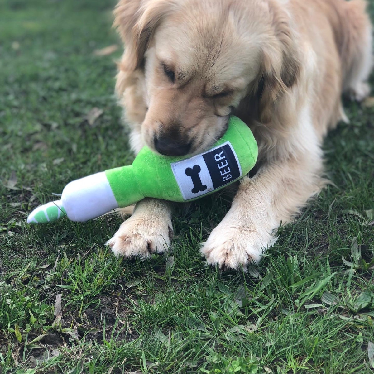 dog beer