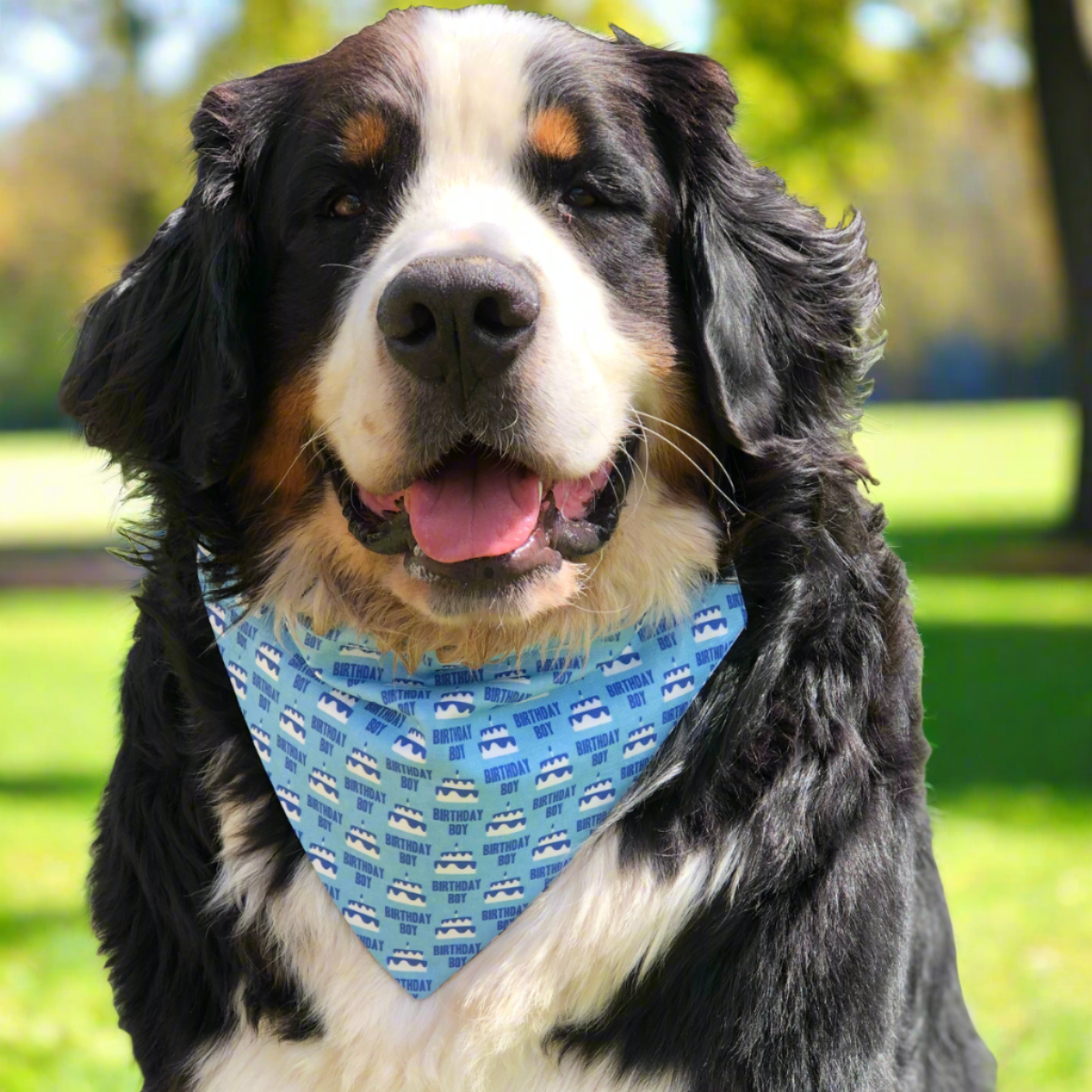 Birthday Boy Dog Bandana