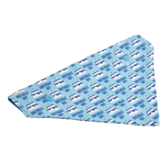 dog birthday bandana birthday boy