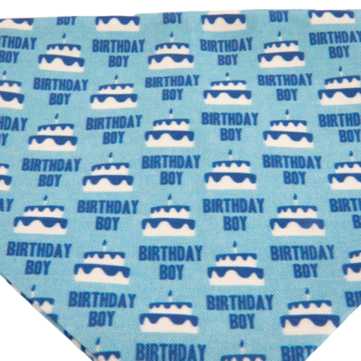 Birthday Boy Dog Bandana