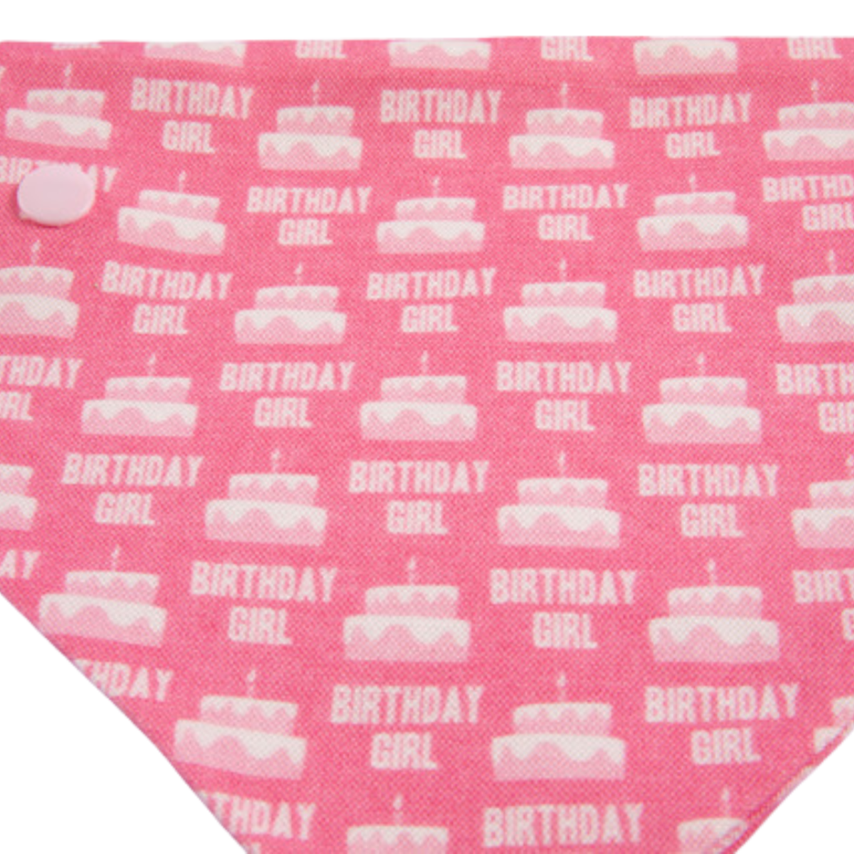 Birthday Dog Bandana