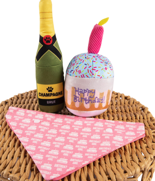 dog birthday with champagne, pupcake, and bandana
