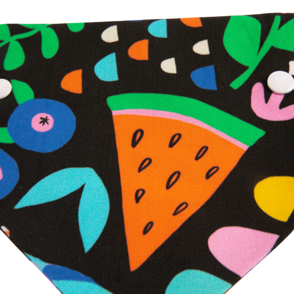 Summer Fun Dog Bandana