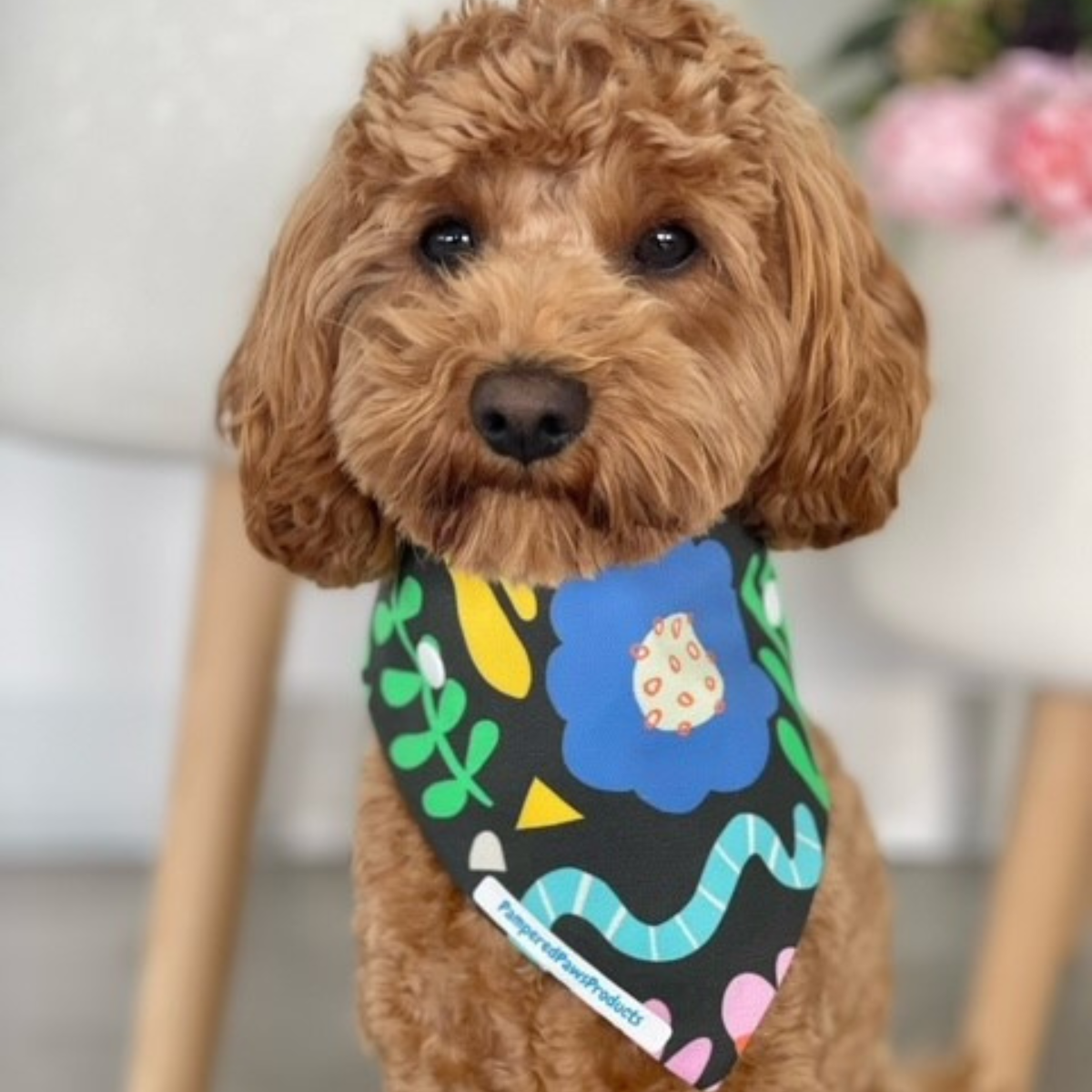 Summer Fun Dog Bandana