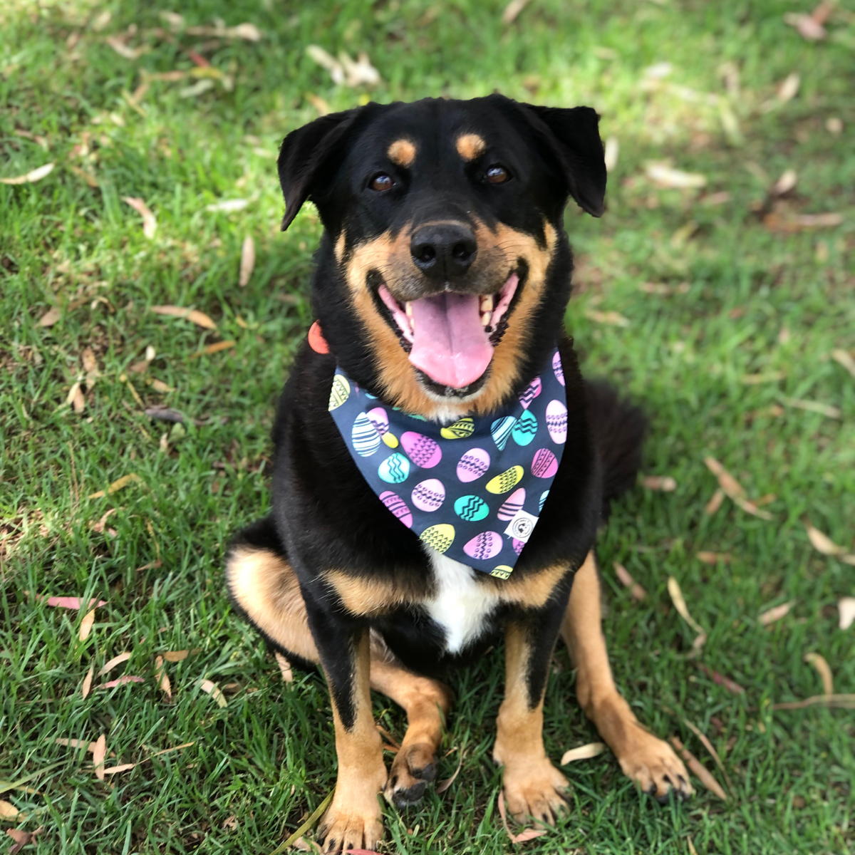 Easter Eggs Dog Bandana