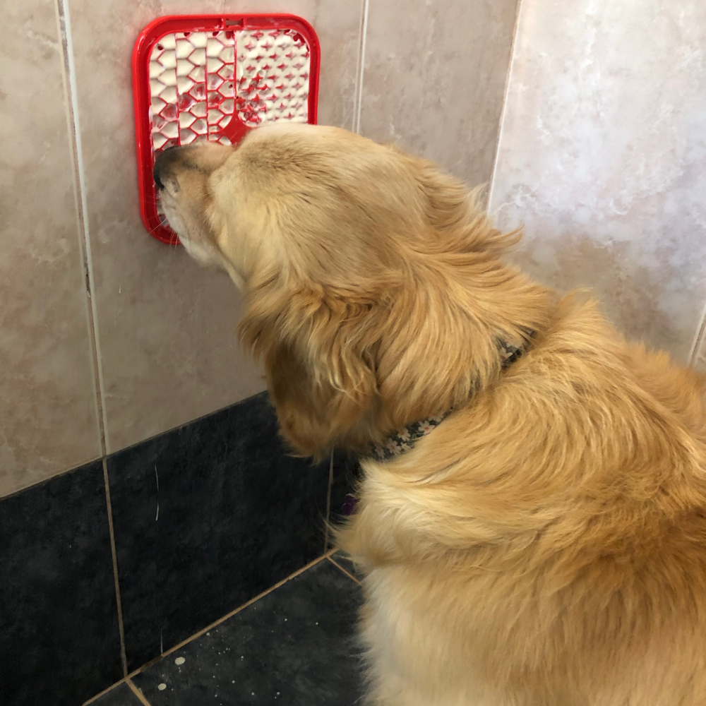 dog licking mat