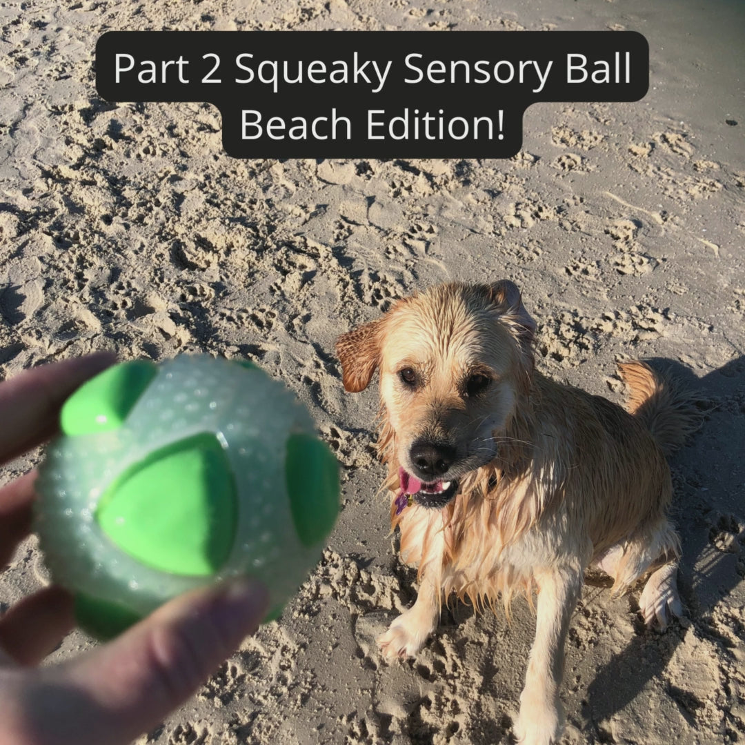 Best dog ball