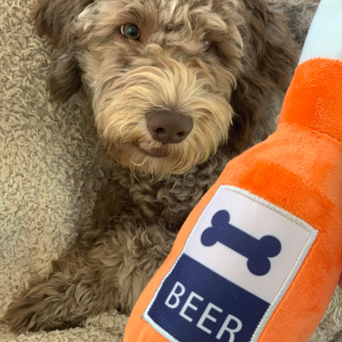 Dog Beer