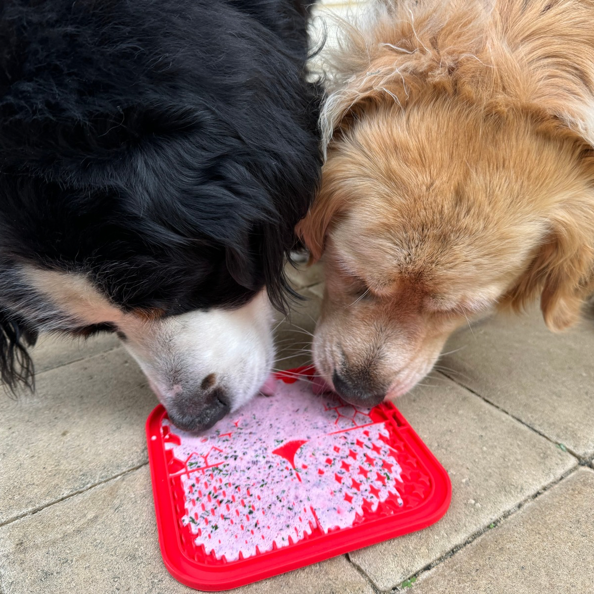 Licking Mat