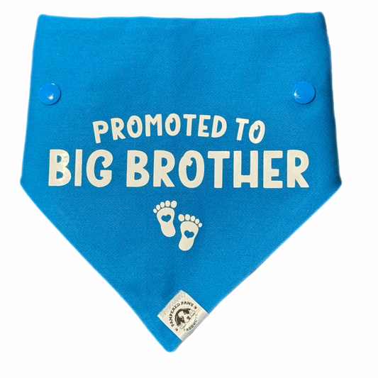 Baby Announcement - Big Brother Dog Bandana