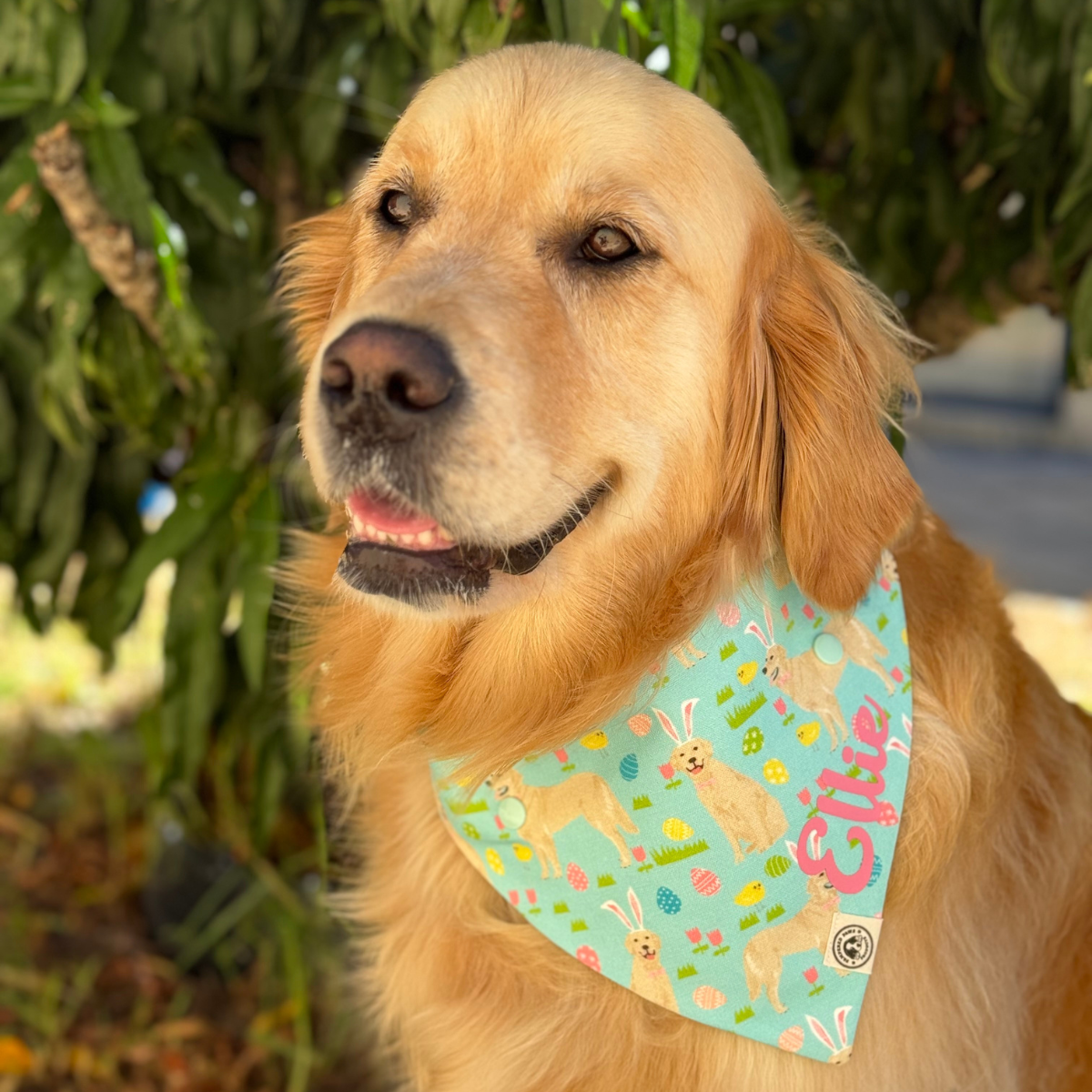 Retriever Dog Easter Bandana - Limited Edition