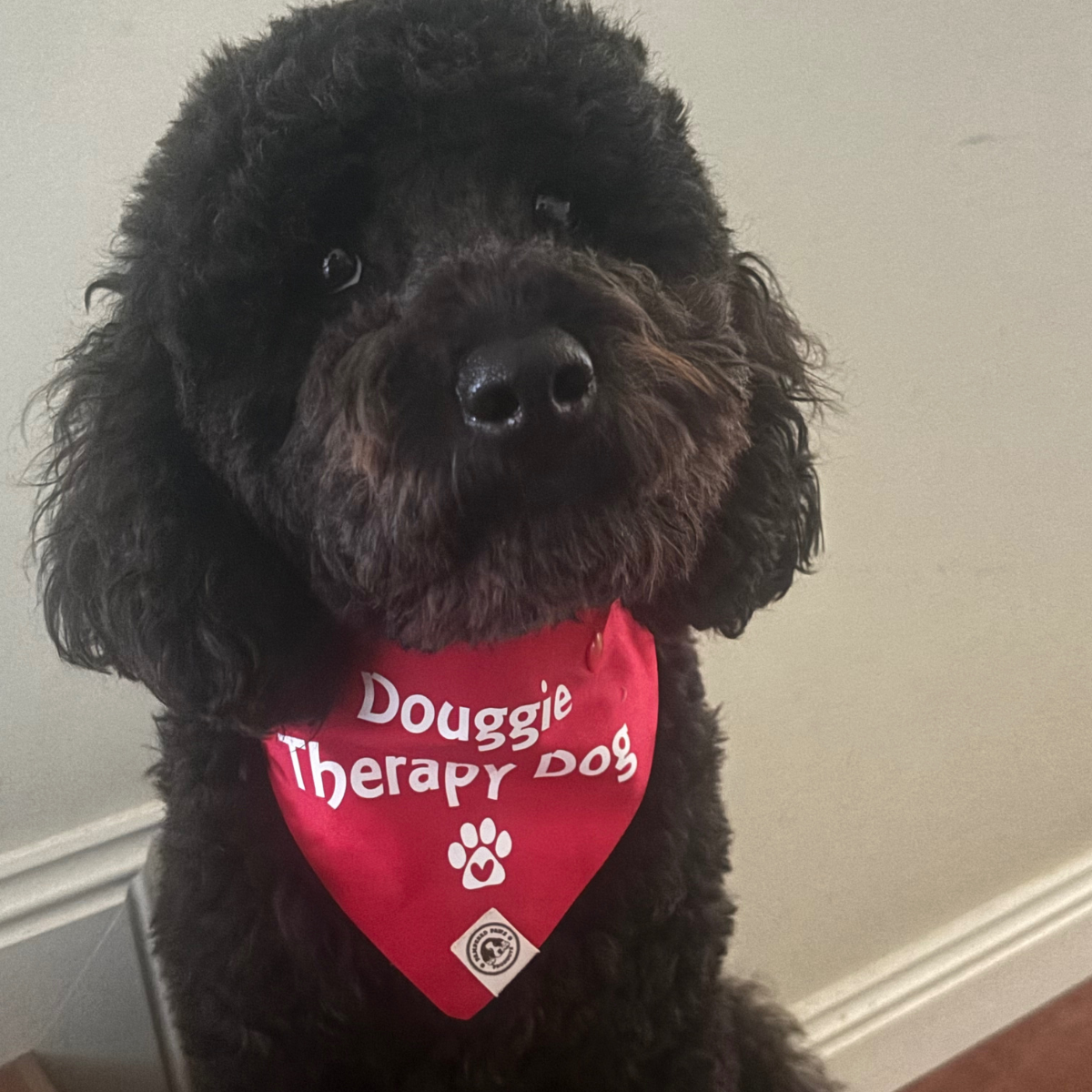 Therapy Dog Bandana