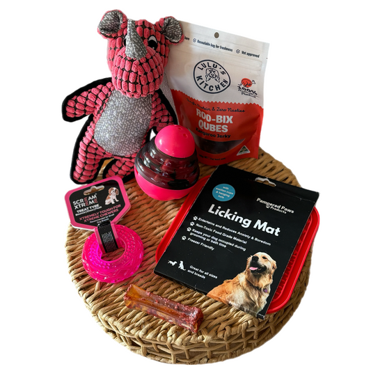 Mini Paws Dog Bundle