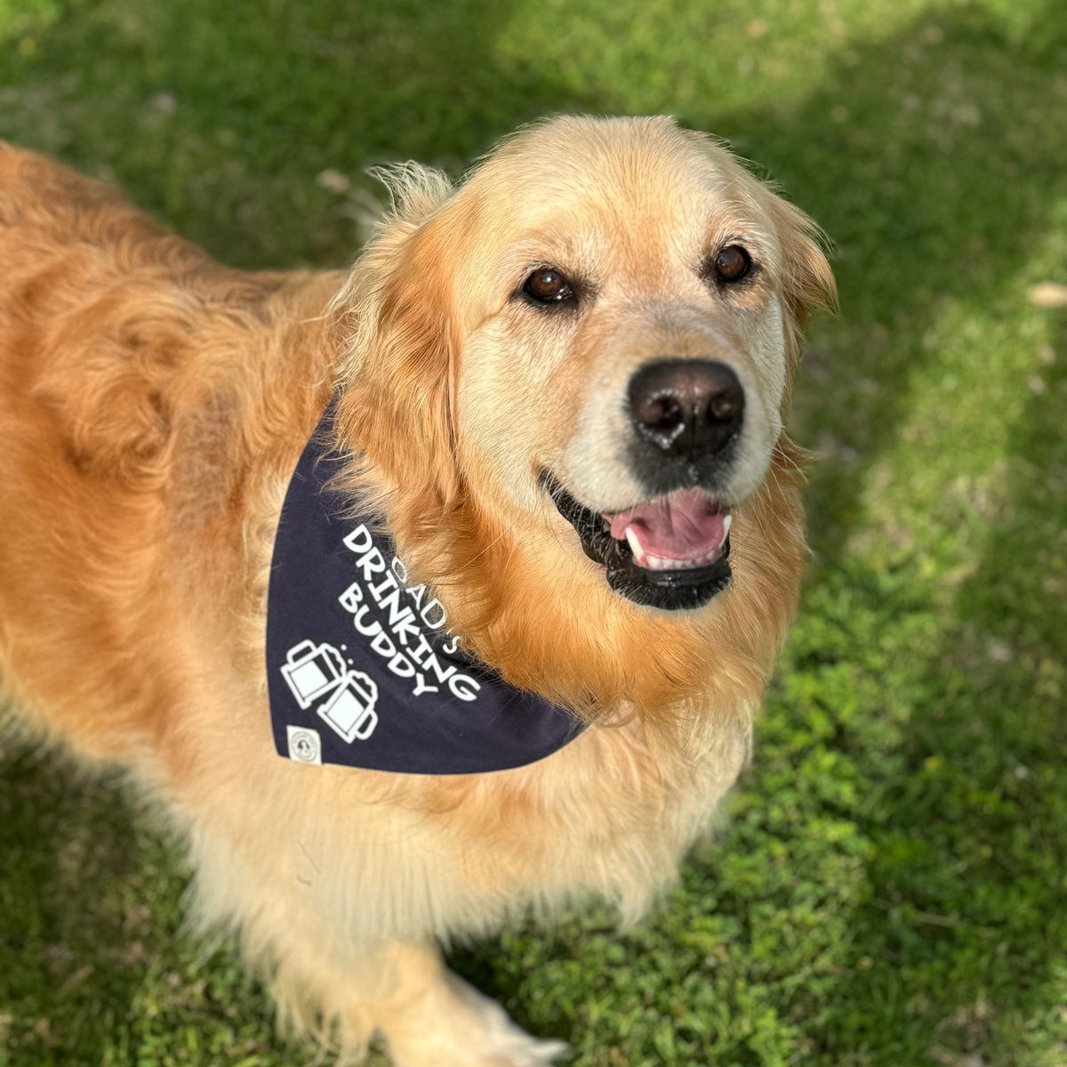 Drinking Buddy - Beer Dog Bandana