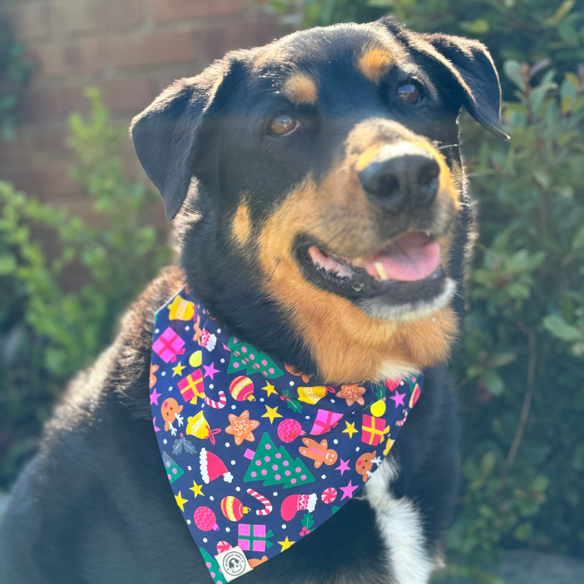 Christmas Jolly Dog Bandana