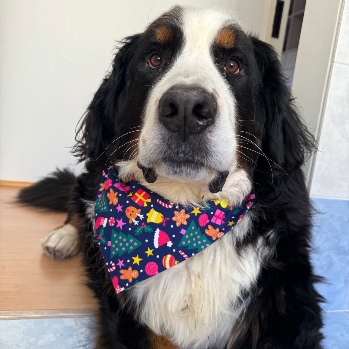 Christmas Jolly Dog Bandana