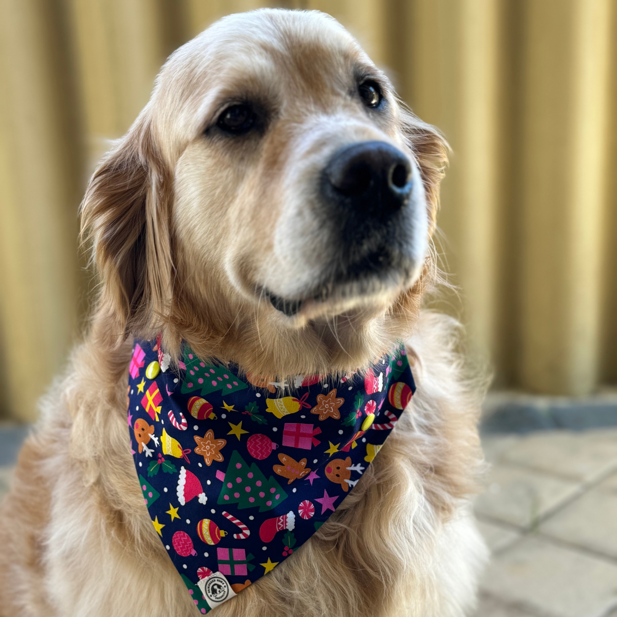 Christmas Jolly Dog Bandana