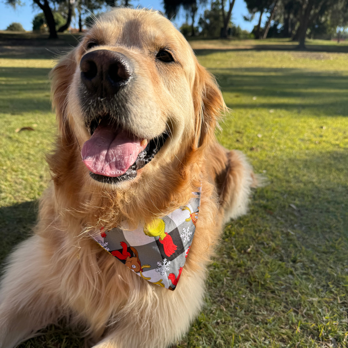 Grinches Christmas Dog Bandana