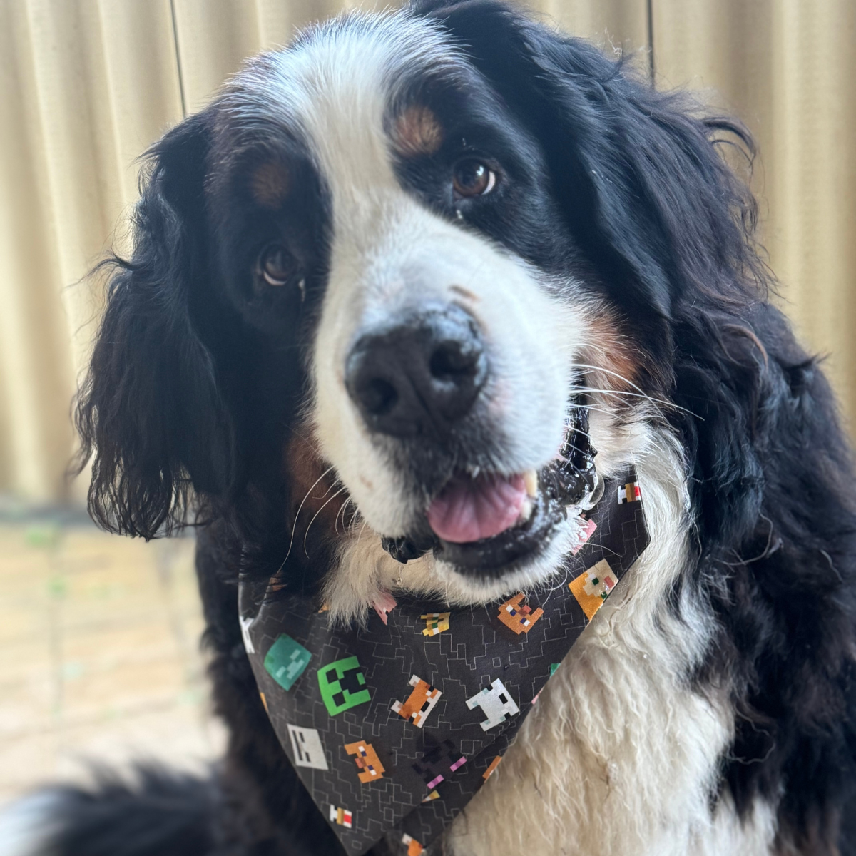 Minecraft Dog Bandana