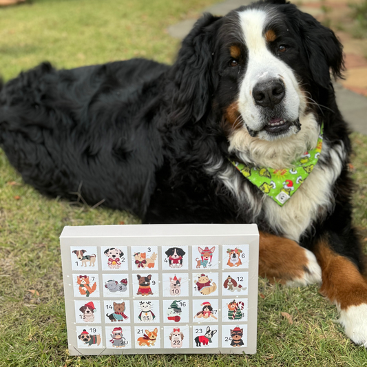 Dog Christmas Advent Calendar