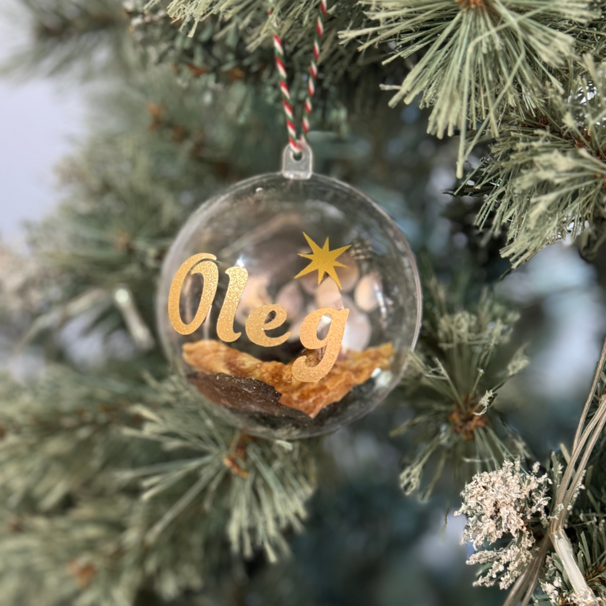 Christmas Bauble for Dogs