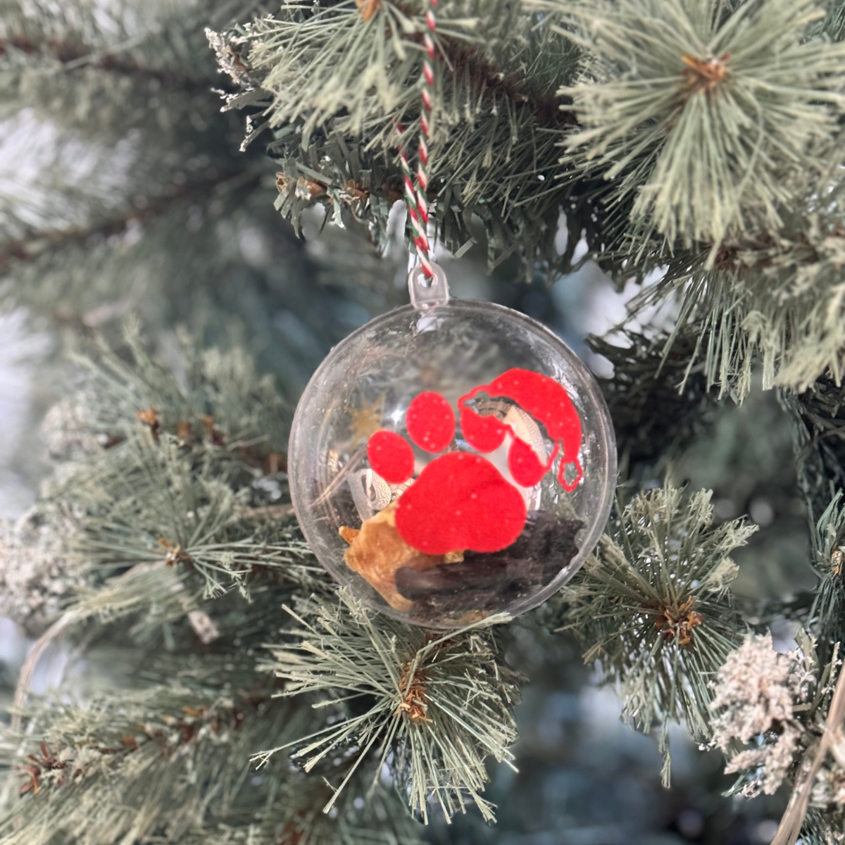 Christmas Bauble for Dogs