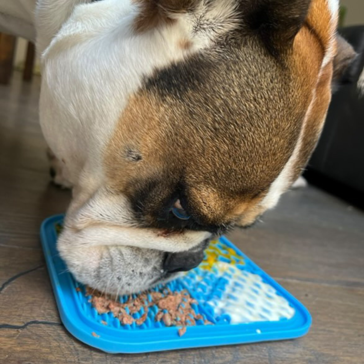 Dog Licking Mat