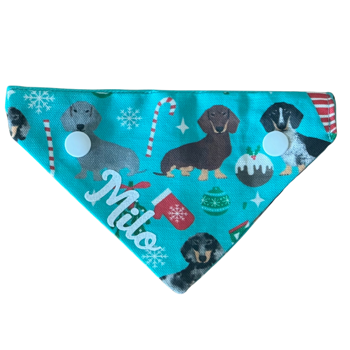 Dachshunds Christmas Bandana - Limited Edition