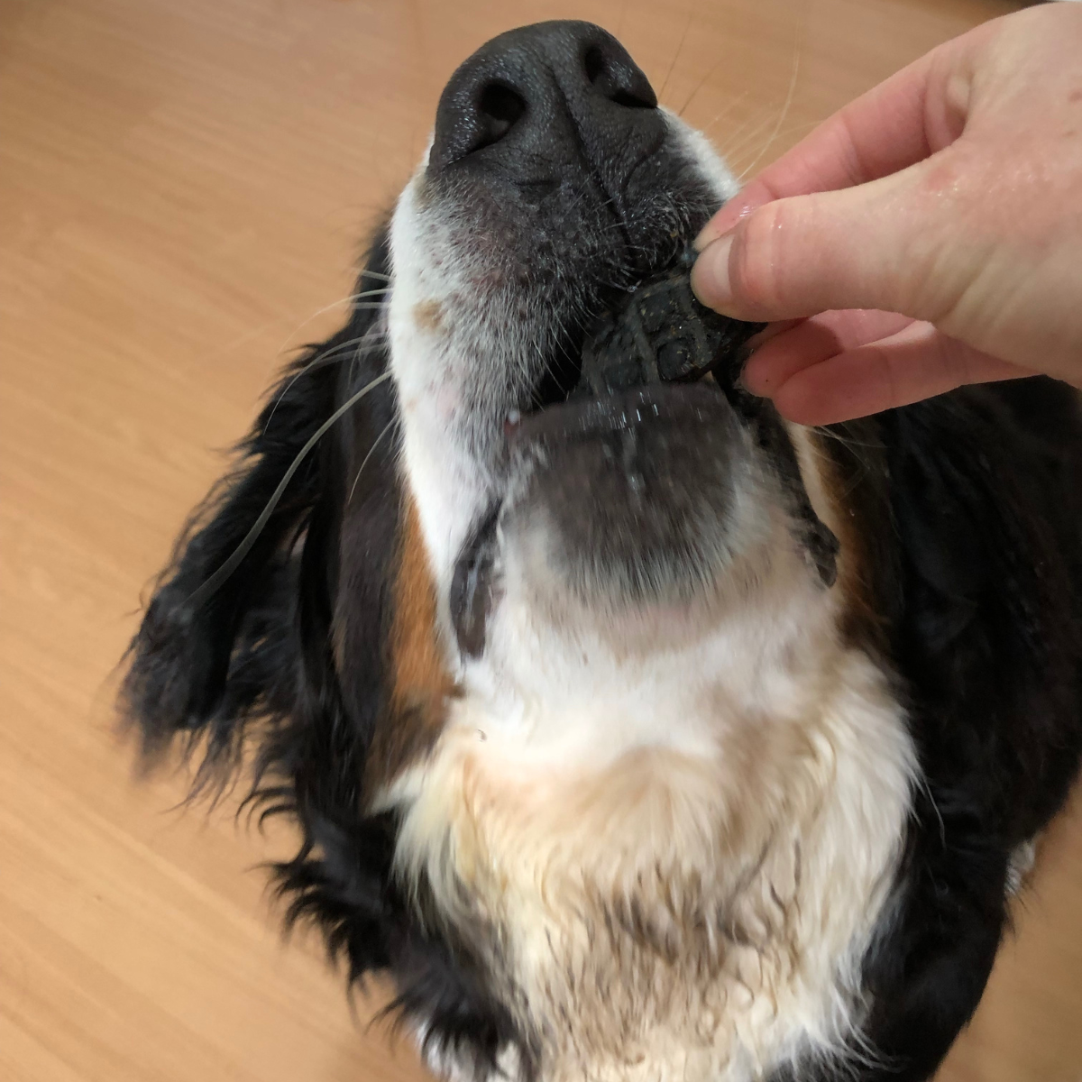 What's your Beef? Beef Liver Dog Treats