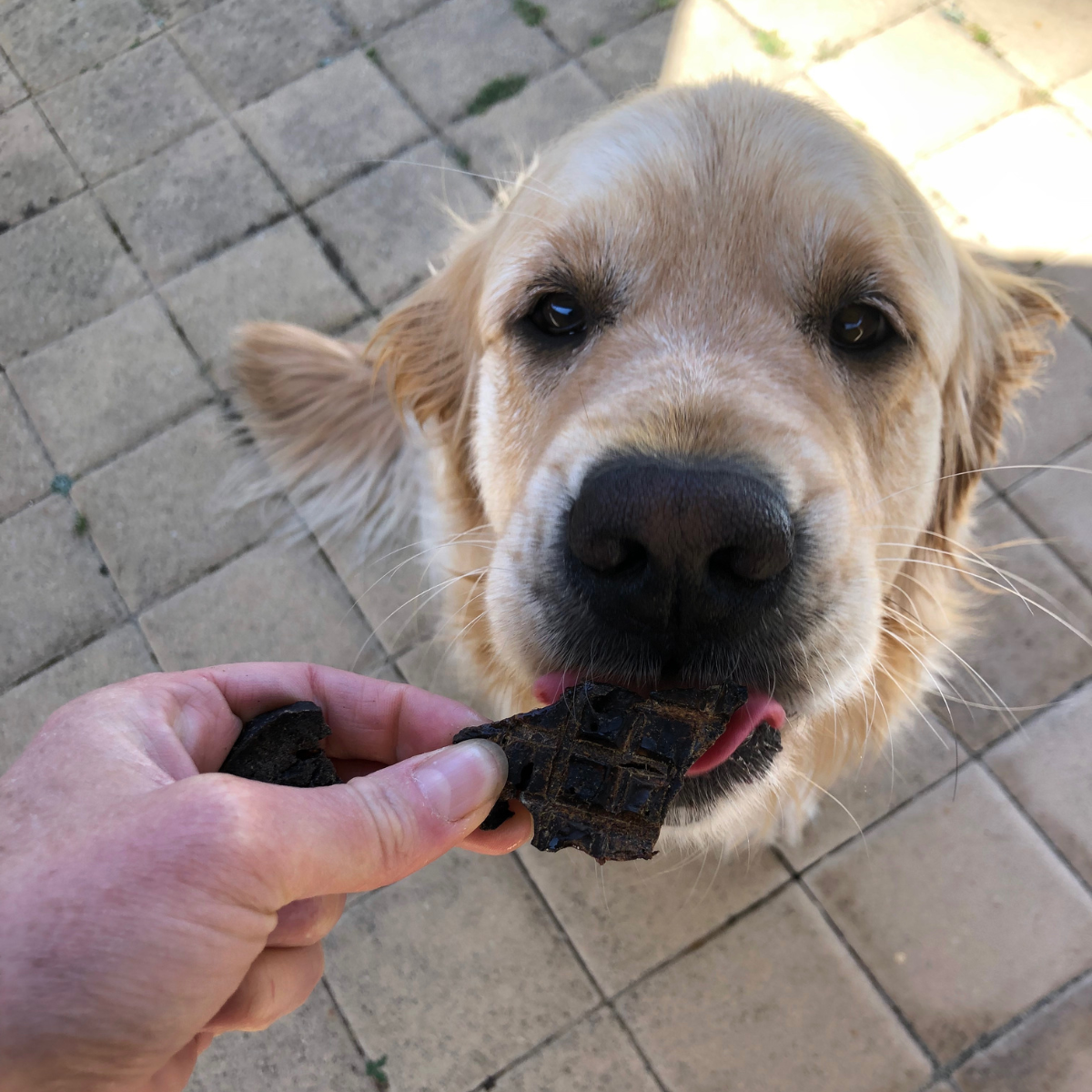 Roast Lamb Liver Treats