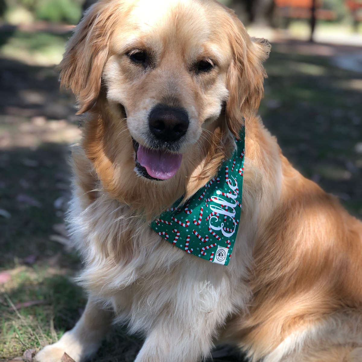 Christmas Bandana