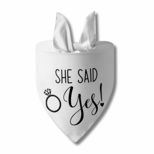 she said yes dog bandana engagement announcement wedding dog bandana australia proposal dog outfit