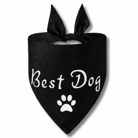 black dog bandana best dog engagement dog bandana wedding announcement dog accessory