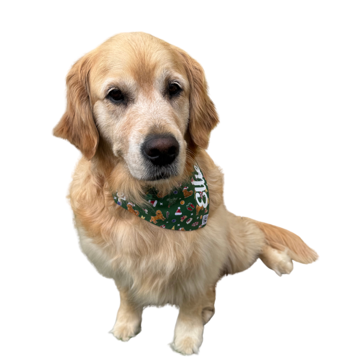 2025 Golden Retriever Christmas Dog Bandana – Limited Edition
