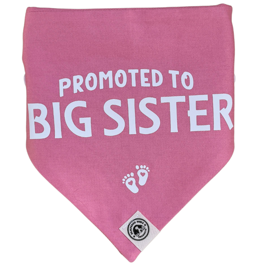 Close-up of pink “Promoted to Big Sister” dog bandana with baby feet print, announcement bandana for dogs