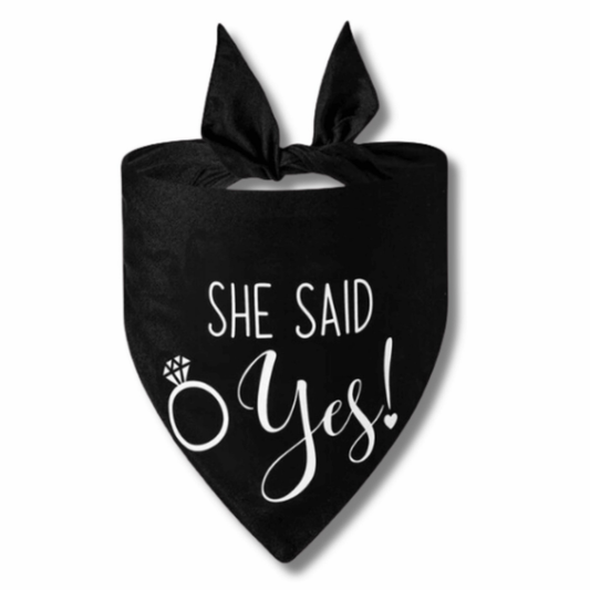 she said yes dog bandana engagement announcement wedding dog bandana australia proposal dog outfit - black