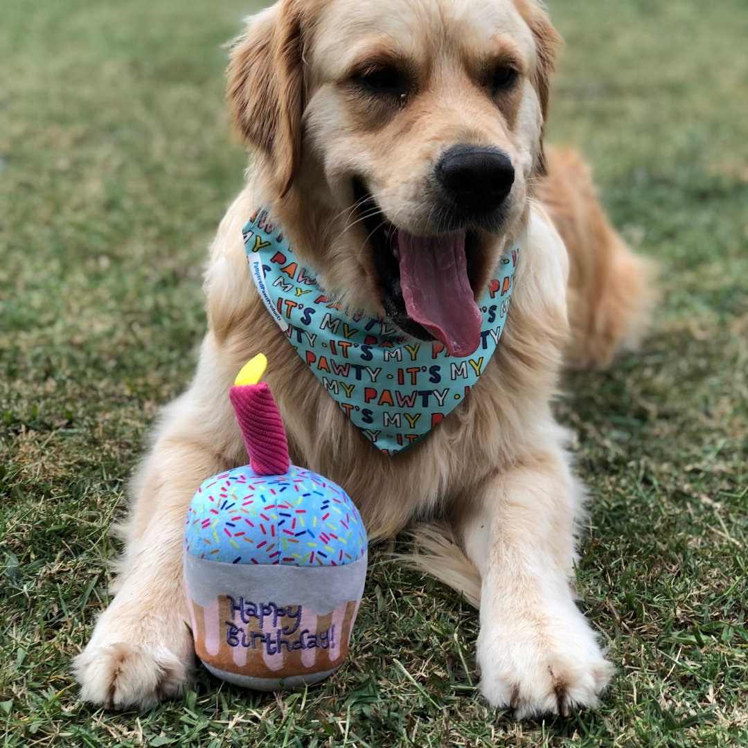dog birthday gifts