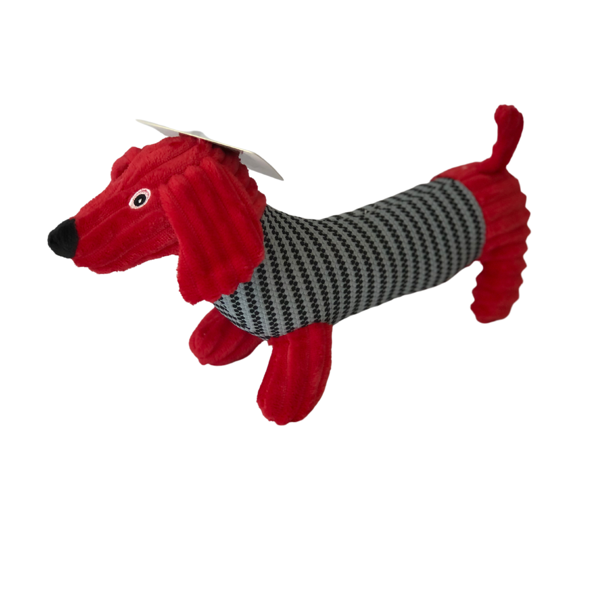 Dachshund