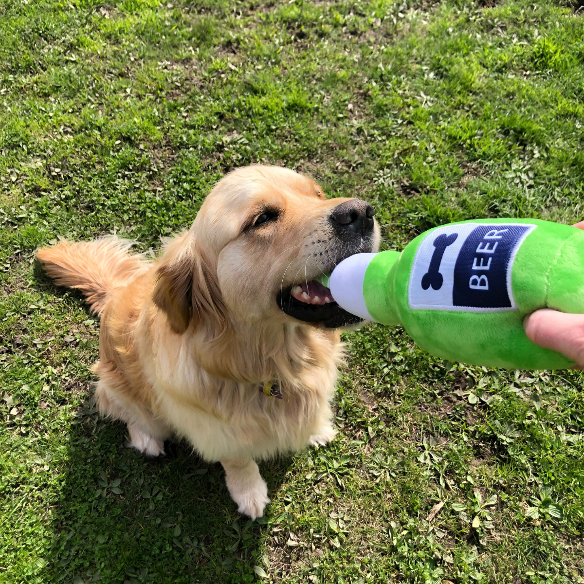 dog beer