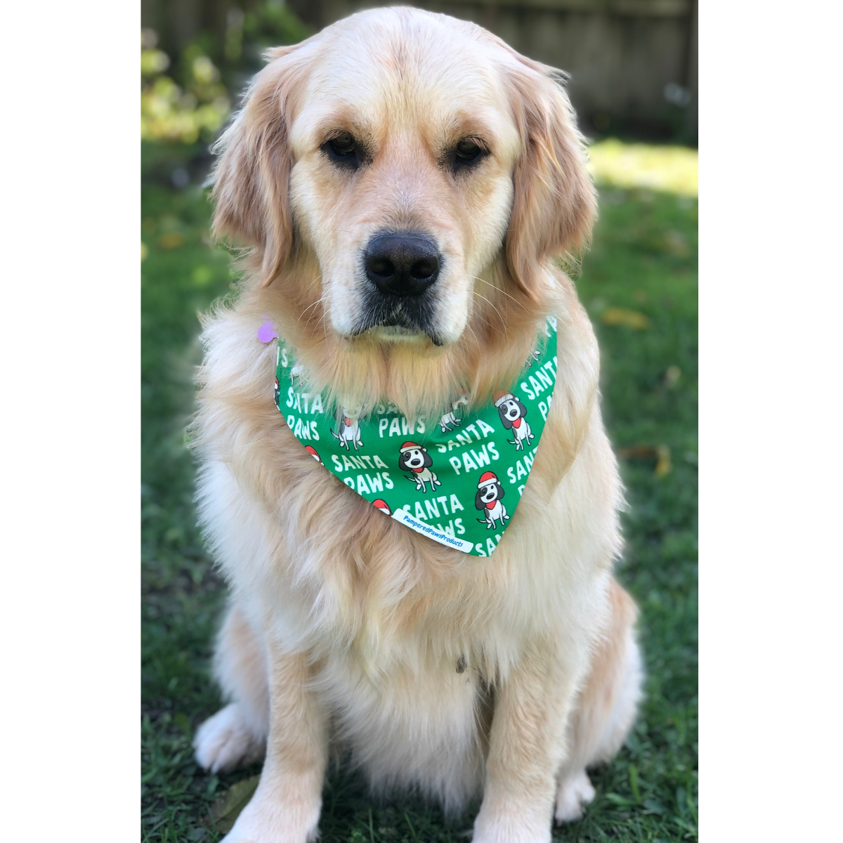 Santa Paws Dog Bandana