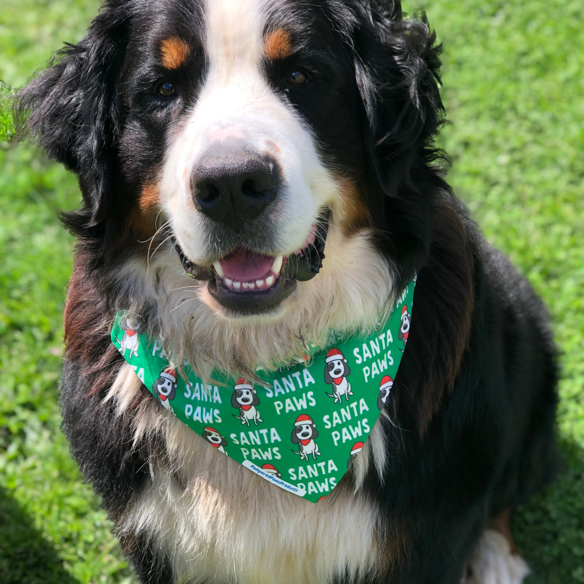 Santa Paws Dog Bandana